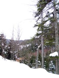 Cesta z Frýdlantu n.O. na Ondřejník