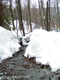 Cesta z Frýdlantu n.O. na Ondřejník