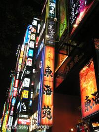 Soubor lidových písní a tanců Valašský Vojvoda