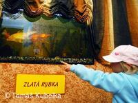 Setkání Jeníčků a Mařenek 2007