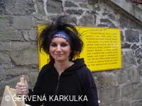 Slet čarodějnic u Perníkové chaloupky 2008