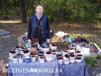 Svatováclavská perníková tlačenice 2008