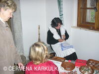 PhDr. Dana Holmanová, perníkářka