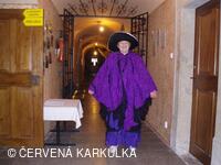 Den duchů v Perníkové chaloupce 2007