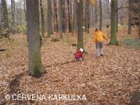 Perníkiáda s VŘSR 2008