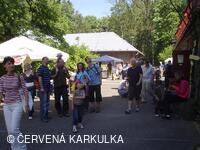 Sousedské slavnosti 2009