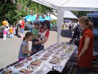 Sousedské slavnosti 2009 - stánek firmy Pavel Janoš, pardubický perník