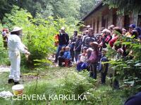 Včelař Josef Vlach při Medobraní u Perníkové chaloupky 2009