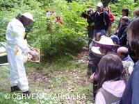 Včelař Josef Vlach při Medobraní u Perníkové chaloupky 2009