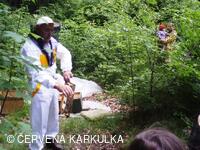 Včelař Josef Vlach při Medobraní u Perníkové chaloupky 2009