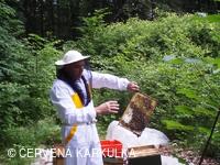 Včelař Josef Vlach při Medobraní u Perníkové chaloupky 2009