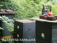 Medobraní s dětským dnem 2009