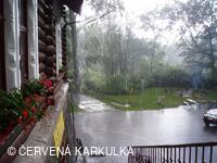 Medobraní s dětským dnem 2009 - zase prší