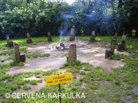 Medobraní s dětským dnem 2009 - v dešti