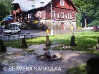 Medobraní s dětským dnem 2009 - v dešti