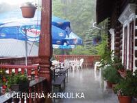 Medobraní s dětským dnem 2009 - v dešti