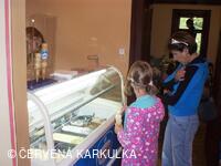 Medobraní s dětským dnem 2009 - v suchu