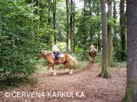 Setkání Jeníčků a Mařenek 2009