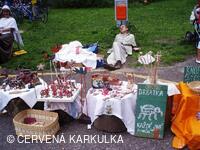 Setkání Jeníčků a Mařenek 2009