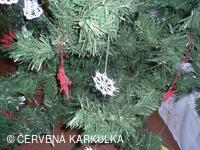 Vánoce v Perníkové chaloupce 2009