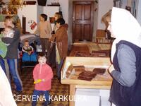 Ukládání Ježibaby mladé (tzn. bez vousů) k zimnímu spánku 31.12.2009