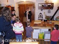 Ukládání Ježibaby mladé (tzn. bez vousů) k zimnímu spánku 31.12.2009