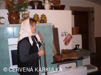 Ukládání Ježibaby mladé (tzn. bez vousů) k zimnímu spánku 31.12.2009