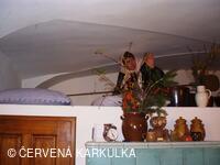 Ukládání Ježibaby mladé (tzn. bez vousů) k zimnímu spánku 31.12.2009