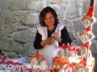 Medobraní a Den dětí 2010