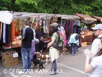 Medobraní a Den dětí 2010
