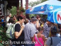 Setkání Jeníčků a Mařenek 2010 - autogramiáda Jana Přeučila