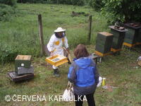 Medobraní s dětským dnem u Perníkové chaloupky 2011