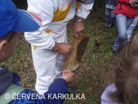 Medobraní s dětským dnem u Perníkové chaloupky 2011