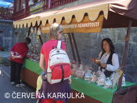 Medobraní s dětským dnem u Perníkové chaloupky 2011