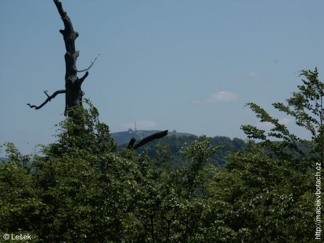 Hodslavice